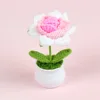 Pointed gradient glitter rose potted plant