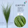 17*30 bundles of long-haired reeds, green