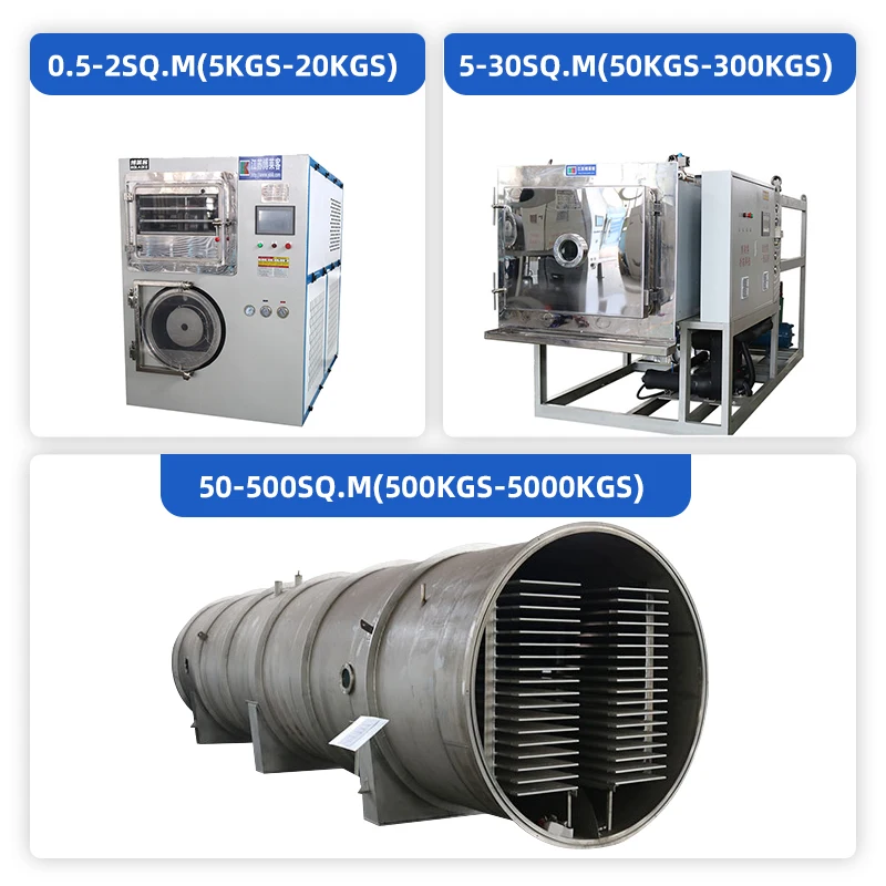 Китайский поставщик, кг, квадратная большая Коммерческая сушилка для замораживания, промышленная сушилка для домашних животных, еда, банан, манго, овощи
