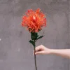หมอนเข็มสีส้ม