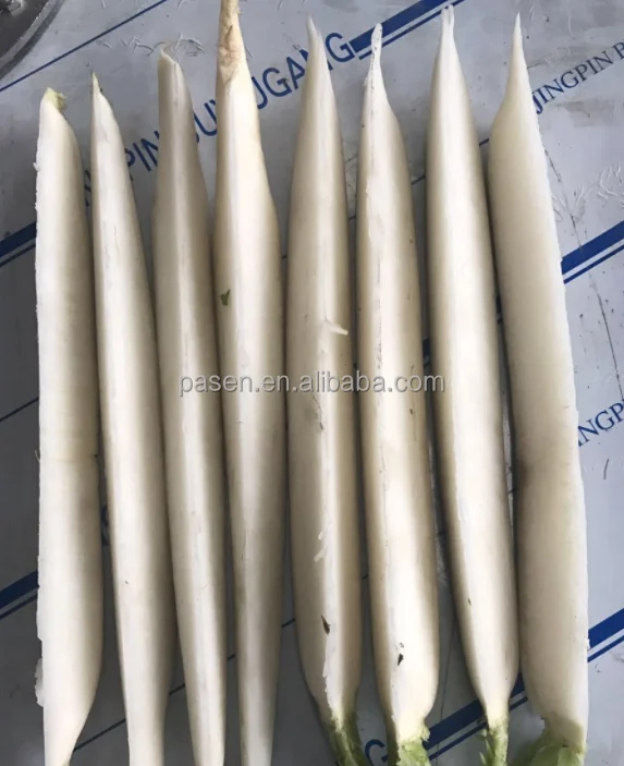 Alibaba.com: Zucchini Beetroot Stick Cutter French Fries Machine ...