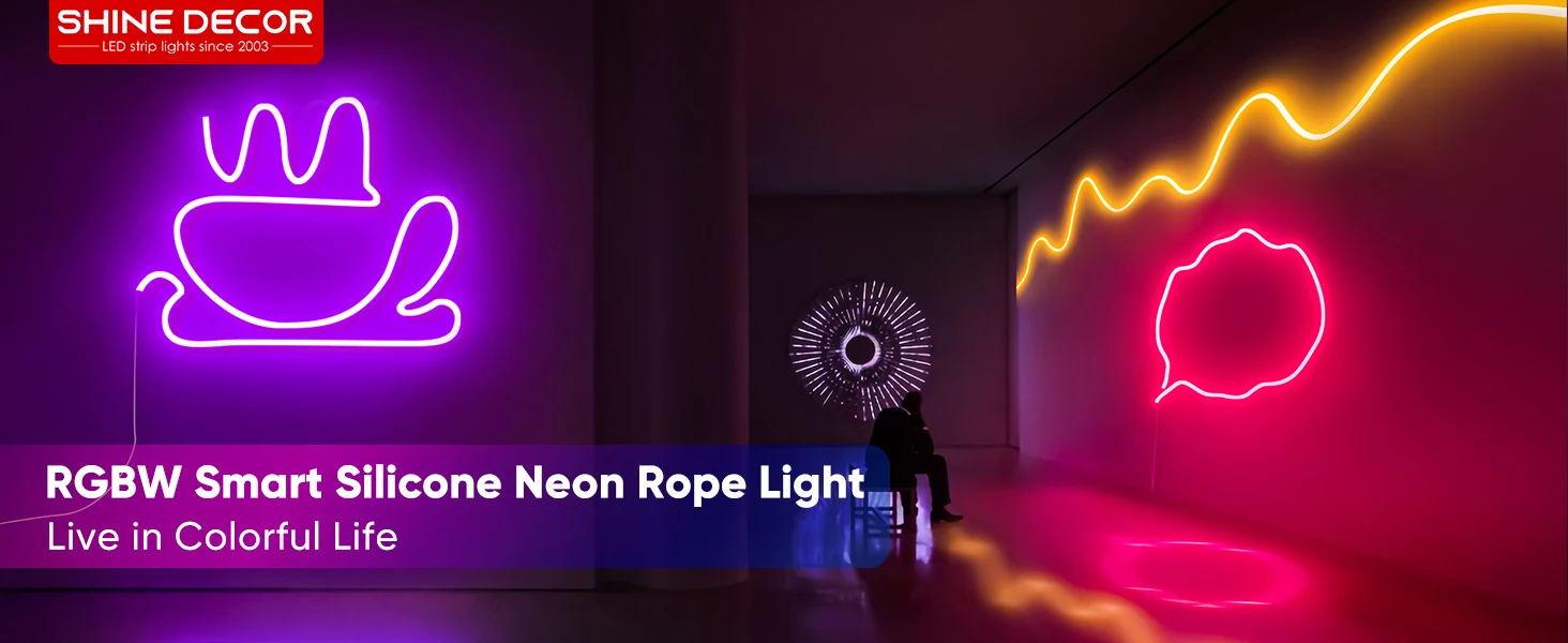 MS-RGBCWNEON A+ (7)