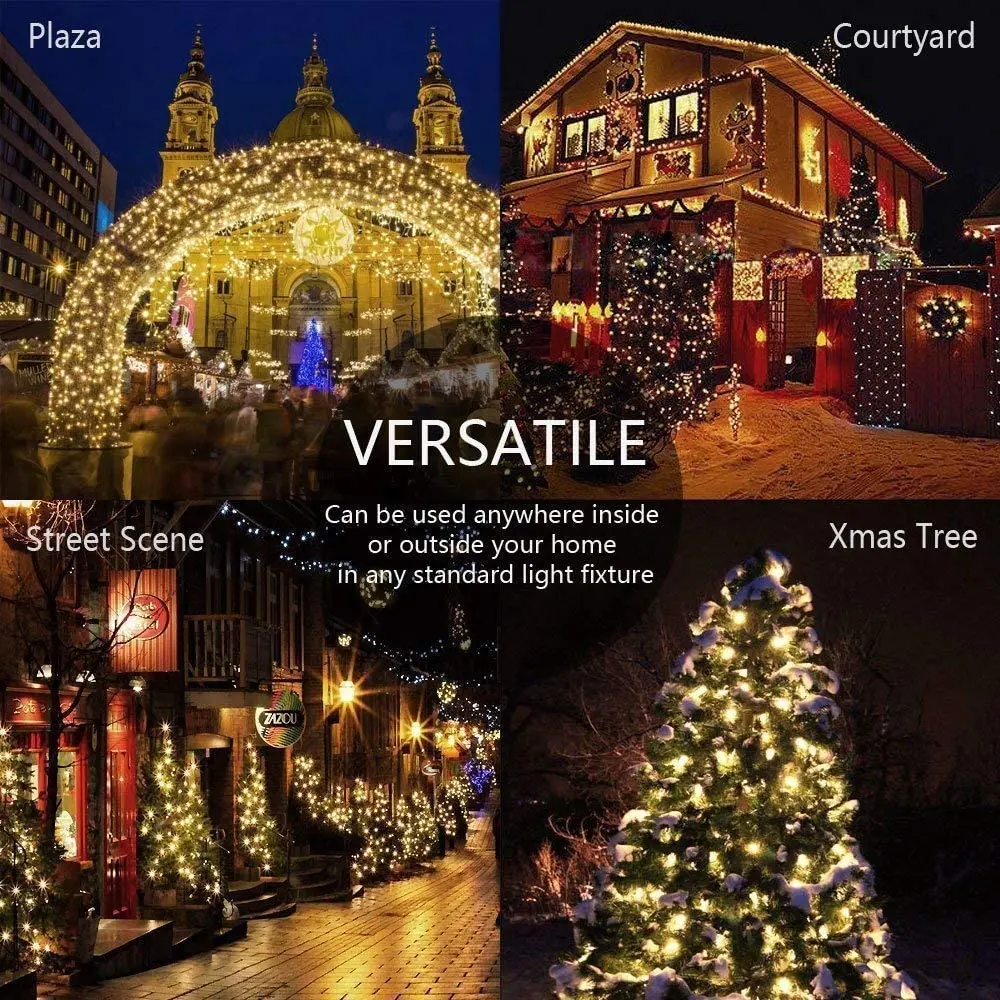 Holiday Lighting LED String Lights With Multiple Colors for Party Decoration Fairy Lights