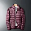 wine red1