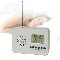 Wholesale Modern Bedside Digital Portable FM Antenna Radio Clock with Temperature Date Display