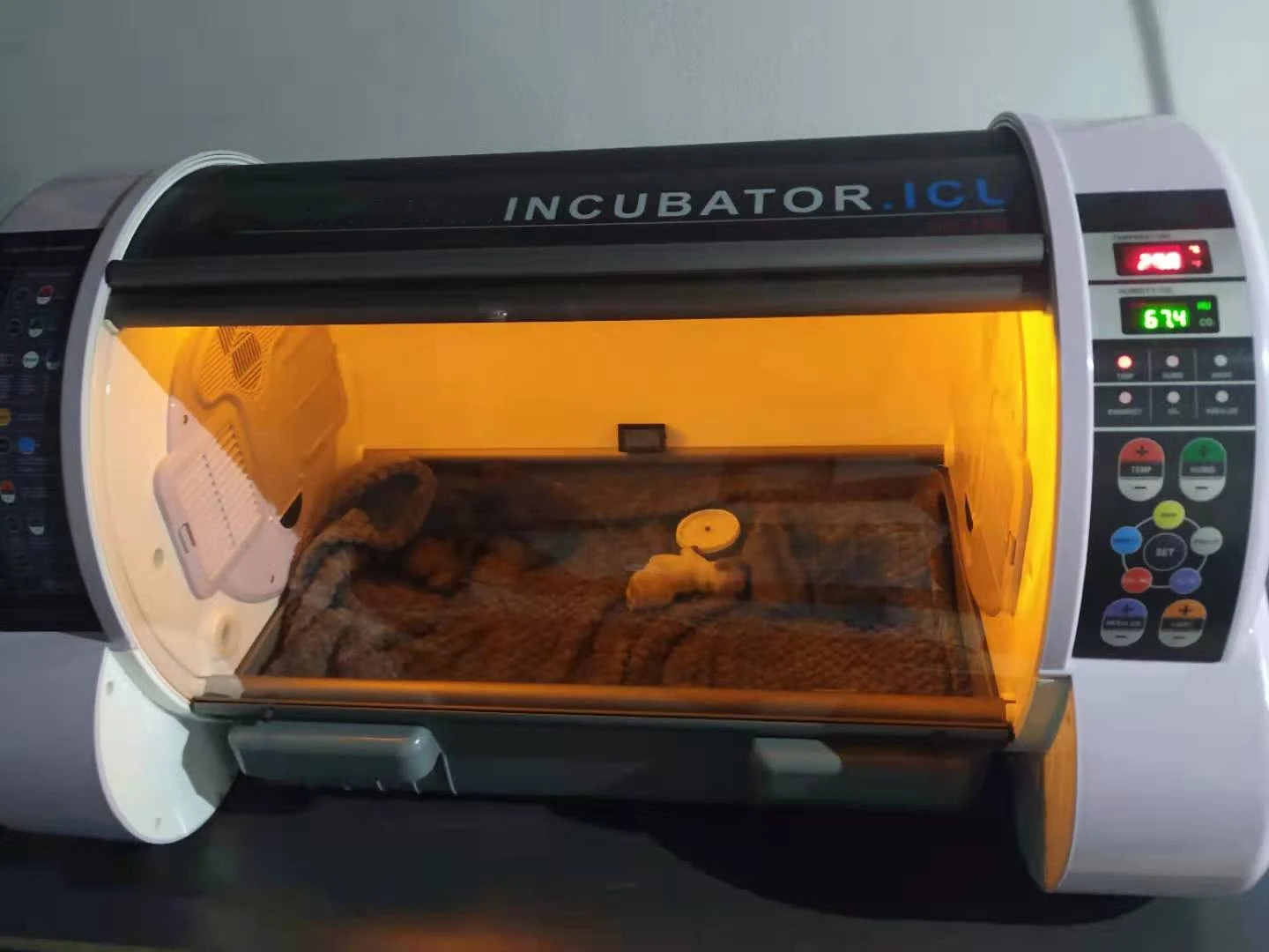 Portable Icu Veterinary Incubator Puppy Incubator For Pet Hospital Automatic Incubators For Icu