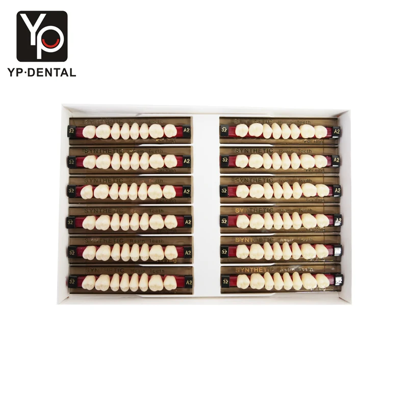 CE ISO Dental Supply Multi-Layer Acrylic Resin Teeth for Dentures