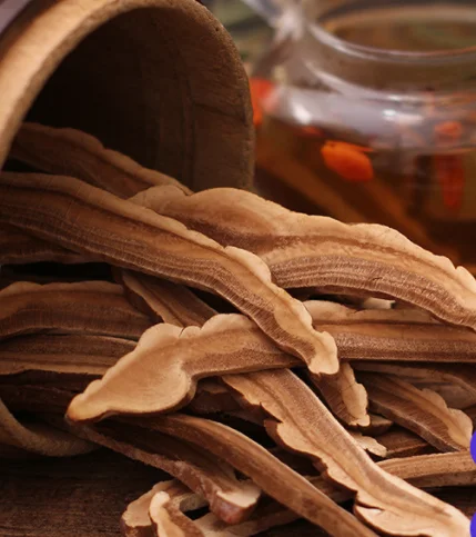 High Grade Sliced Lingzhi Mushroom Herbal Tea Herbal Tea Organic Lingzhi Cleansed Slim Tea