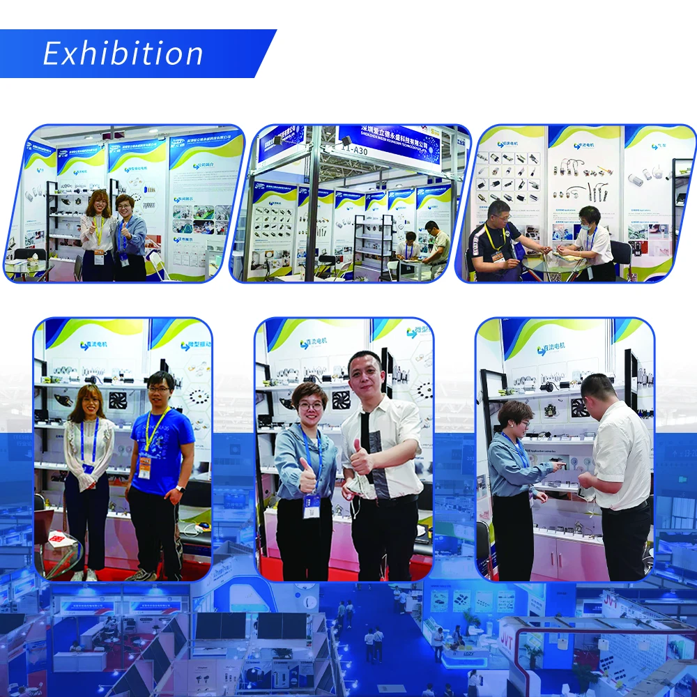 Exhibition