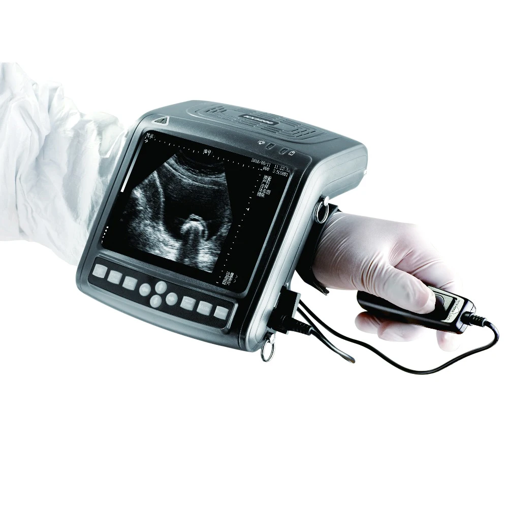 selling cheapest cow ultrasound scanner medical inst