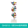 QH3212-1 Nuevo modelo de estructura de ADN