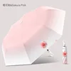 polvo de sakura