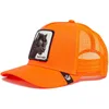 Orange leopard