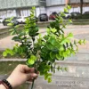 5 forks fine leaf eucalyptus green