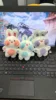 Dudu Rabbit