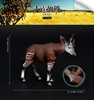 043 Cervo Okapi