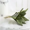Orchidea pelle di tigre a 11 foglie (colore)