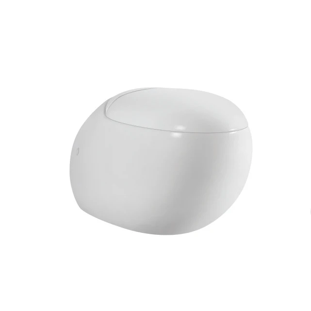 AIDI Best Selling Modern Ceramic Bathroom Rimless Egg Shape Round Bowl Wall Hung Toilet factory