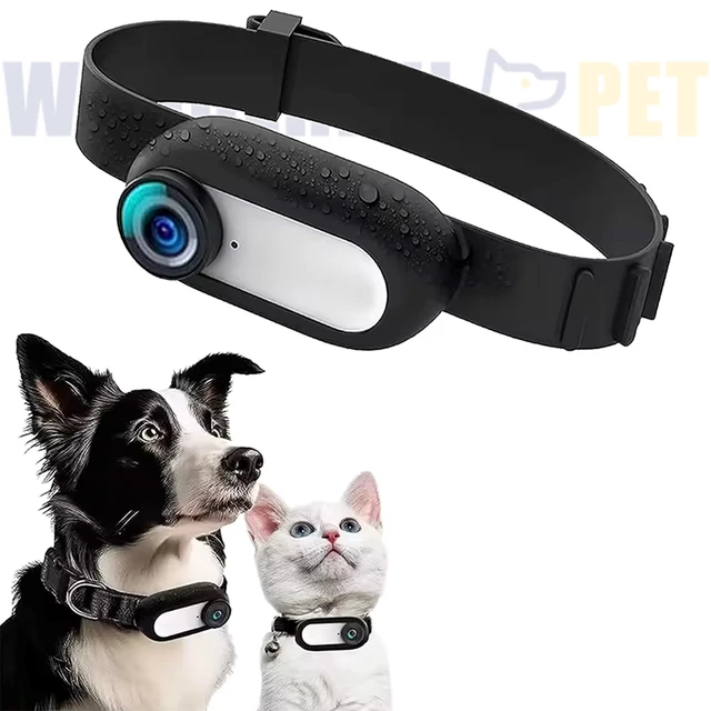 Wonderfulpet 1080P Wireless Cat Collar Camera Pet Travel Camera Pet Mini Collar With Remote Monitoring Cat Dog Accessories