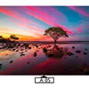 Multicolor-A05