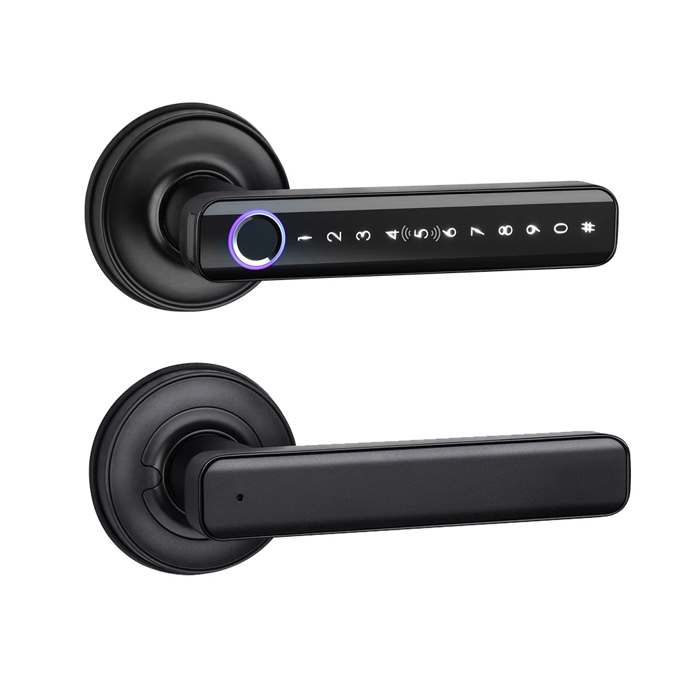 Levier de porte biométrique d'empreinte digitale, serrure de poignée de Levier de porte biométrique d'empreinte digitale, serrure de poignée de
