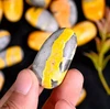 Bumble Bee Jasper Palm Stone