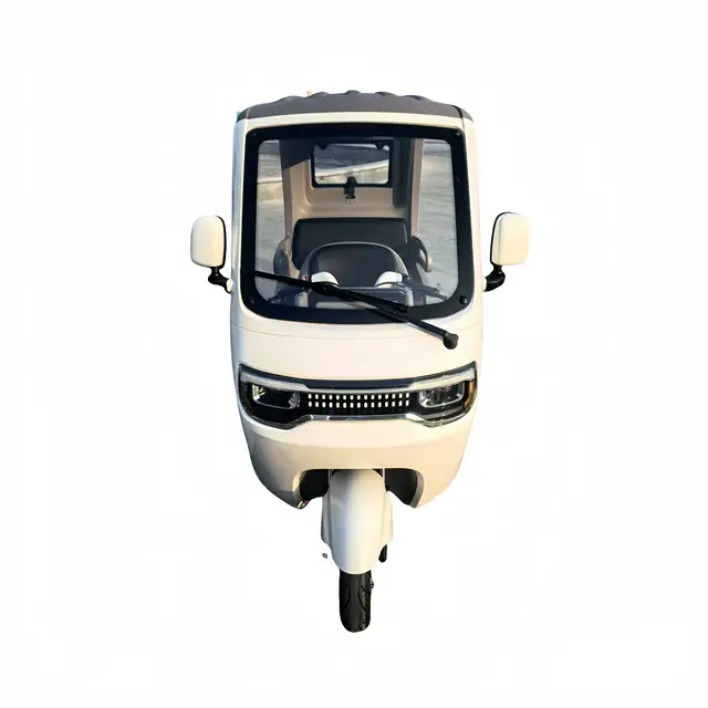 Factory Direct Wholesale Electric Tricycle/Eco-friendly Low Speed Vehicle for Sale