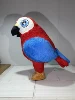 Red Parrot