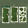 Moss