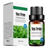 tea tree