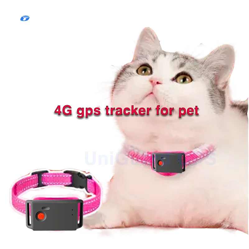 Pet Chip Locator and Intelligent Tracking Devices for Dog and Cat Alarm Pet Gps Tracking Collar Dog Tracking Device