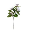 Magnolia light pink-105cm