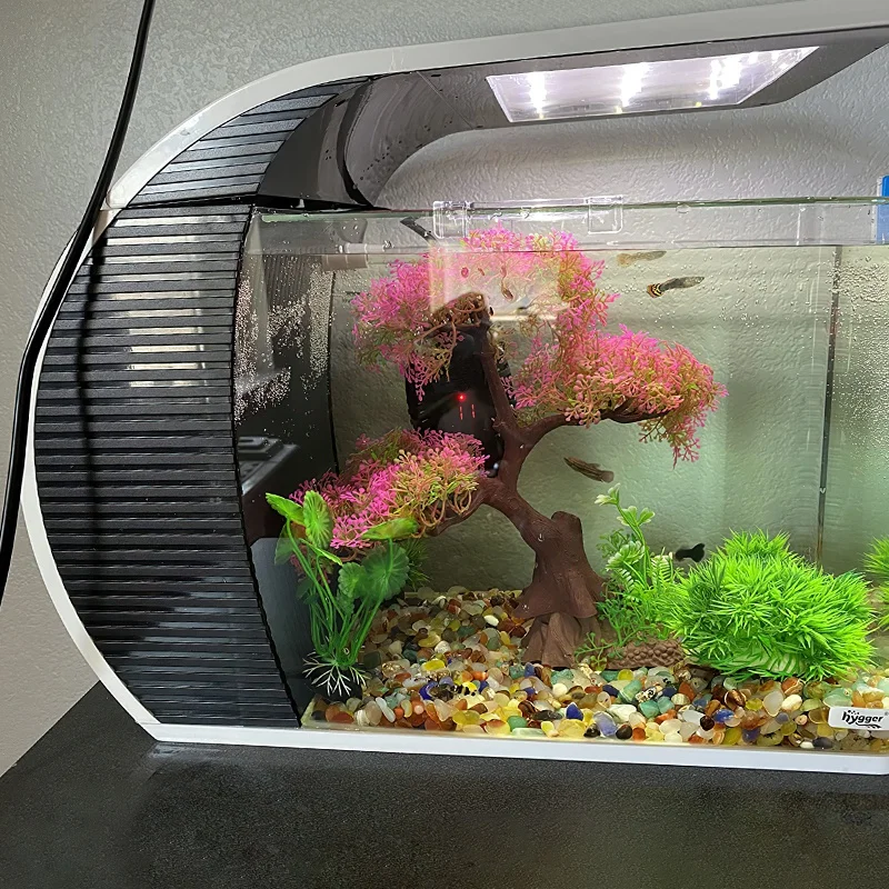 Hygger5ガロンクリアガラス水族館LED照明水槽ベタ魚水族館タンク