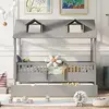 11 grey-trundle