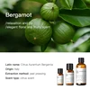Bergamot (Italy) 10ml