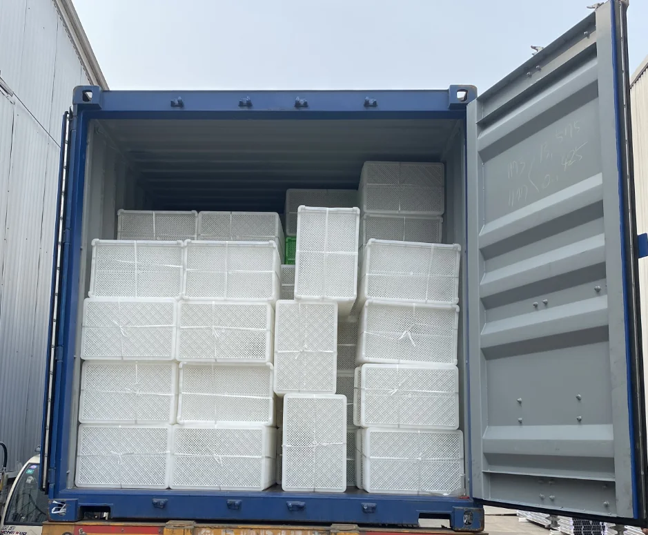 White Color Mesh Plastic Meat Trays With Small Hole Plastic Drying Tray