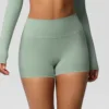 Basil green Shorts