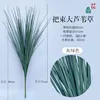 Bundle of large reeds, grayish-green