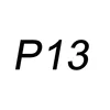 P13