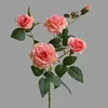 สีฟ้า