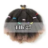 T1B/27