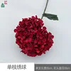 Single branch hydrangea wzt burgundy