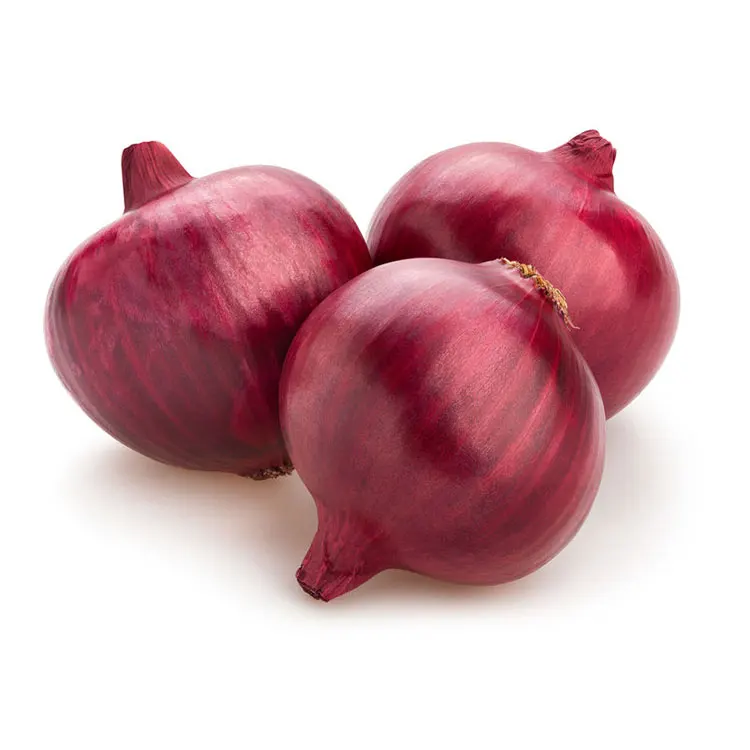 fresh hot sale growing vegetable harvesting machine onions