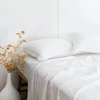 sample-image