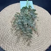 Verde 03