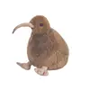 Kaki