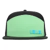 verde/negro