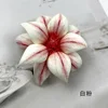 Double-layer white powder