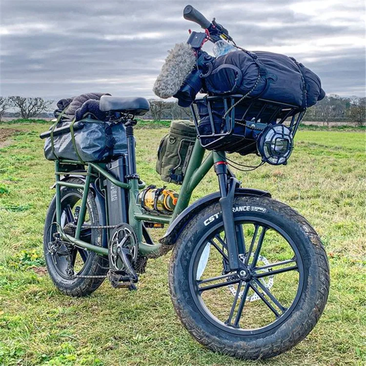 Fiido T1 Pro Cargo Electric Bike With 20inch Fat Tires 750w Motor 48v