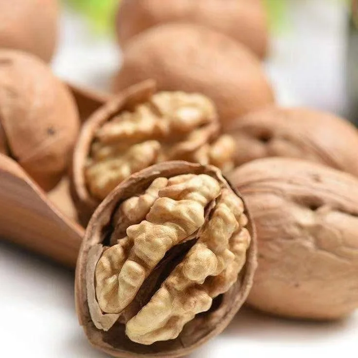 Premium Factory Wholesale Walnut With Shell and Without Shell  Bulk Dried Walnut Available for Sale
